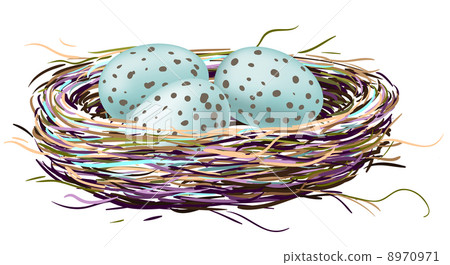 Bird's nest with robin eggs Bird's nest with robin eggs 8970971