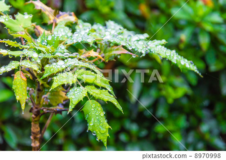 秋天多雨南部的天空 8970998