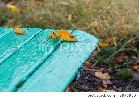 Autumn Rainy Day Bench 8970999
