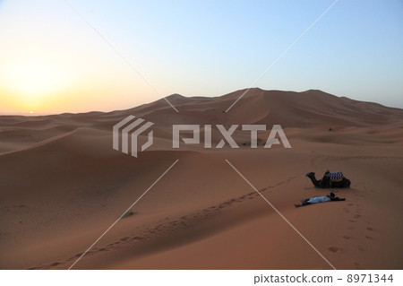Desert and camel use 8971344