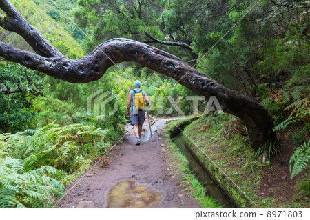 Hike in Madeira 8971803