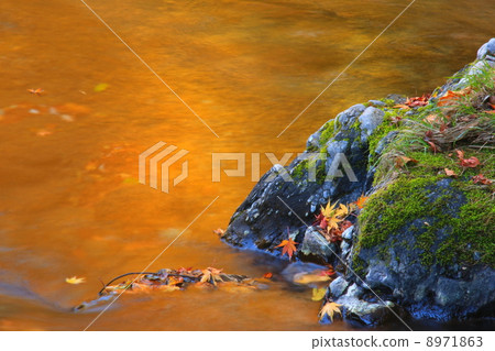 Reflection of autumn leaves 8971863