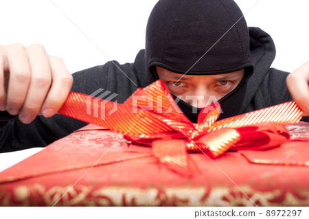 bandit holding a wrapped Christmas gift bandit holding a wrapped Christmas gift 8972297