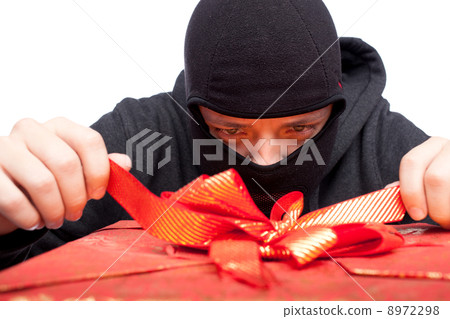 bandit holding a wrapped Christmas gift bandit holding a wrapped Christmas gift 8972298