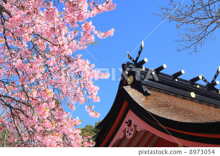 世界遺產“富士山主要的淺山神社” 8973054