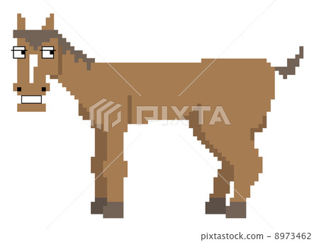 Horse Horse 8973462