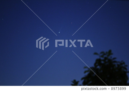 Comet Ison Comet Ison 8973899