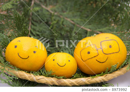 Mandarin orange family 8973992
