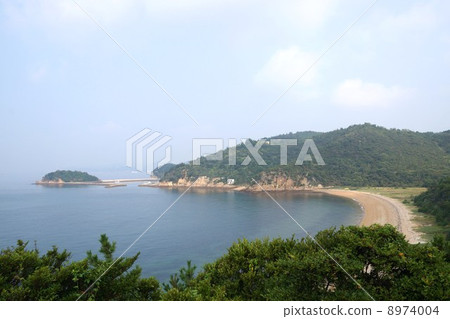 Naoshima Daddaka從鼻子看 8974004