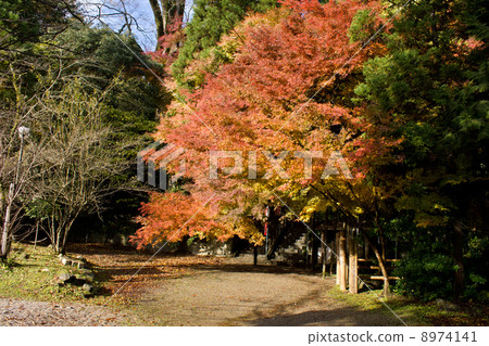 札幌寺秋葉 8974141