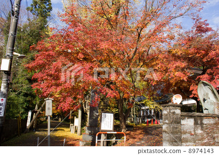 札幌寺秋葉 8974143