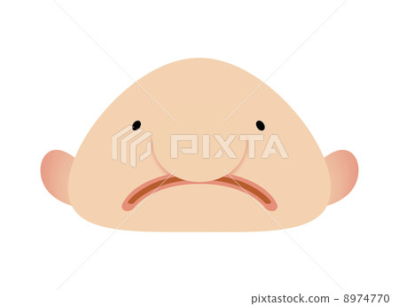 Blob fish stock vector. Illustration of bathypelagic - 89120181