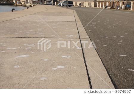Sea bird droppings that fell to the fishing port Sea bird droppings that fell to the fishing port 8974997