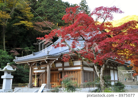神社和寺廟 神社和寺廟 8975077