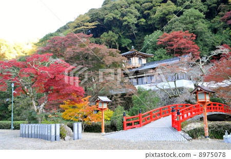 神社和寺廟 8975078