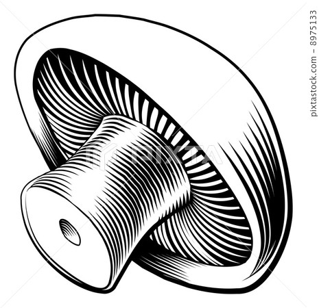 Vintage retro woodcut mushroom 8975133