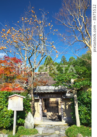 Rakugaku Rakugaku 8975512