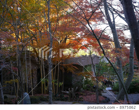 The garden of Kubota Ichitake Museum The garden of Kubota Ichitake Museum 8975862