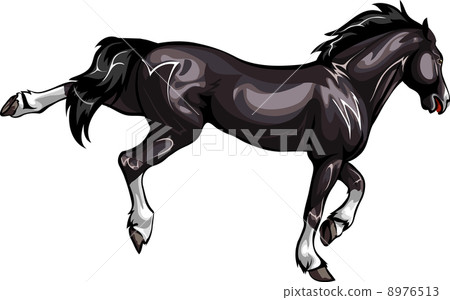 bucking horse bucking horse 8976513