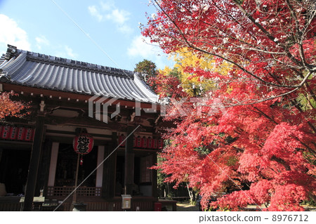 Akayama Senjou Jizo Hall Akayama Senjou Jizo Hall 8976712