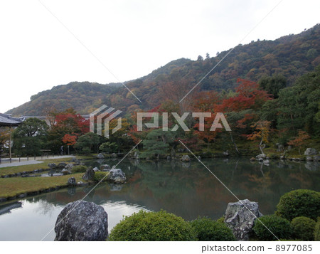 花園(京都) 花園(京都) 8977085