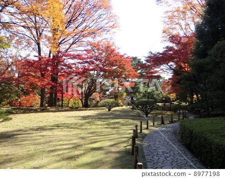 Autumn Japanese Garden Autumn Japanese Garden 8977198