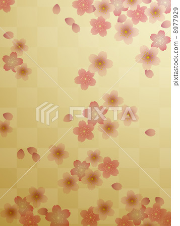 櫻吹雪 櫻吹雪 8977929