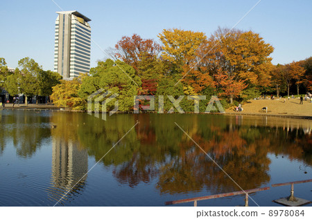 Autumn leaves park - Tama center Autumn leaves park - Tama center 8978084
