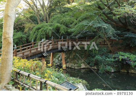 濱松城公園的日本庭園 8978130