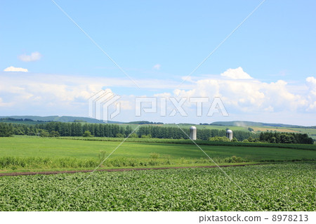 Scenery of Kamishihoro, Hokkaido 8978213