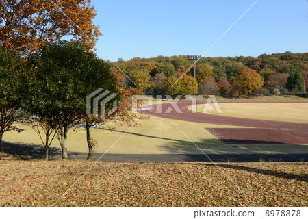 Athletics stadium Athletics stadium 8978878