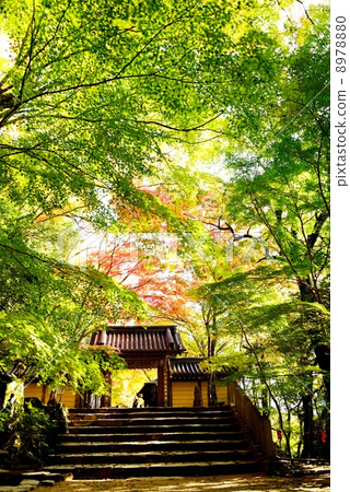 Eikenji in autumn Eikenji in autumn 8978880