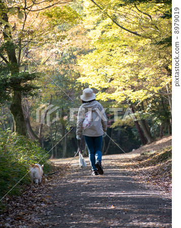 A walk 8979019