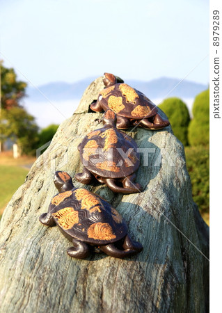 Turtle Turtle 8979289