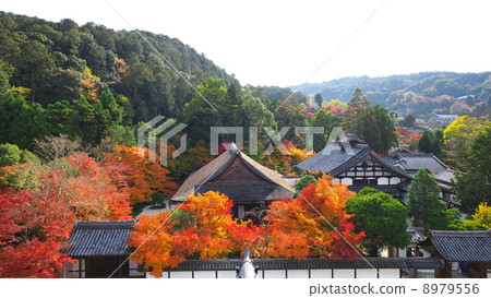 從Nanzenji Sanmon看到的Tensenan 從Nanzenji Sanmon看到的Tensenan 8979556