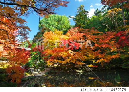 Tenrian的Ikeizumi jogakki花園 Tenrian的Ikeizumi jogakki花園 8979579