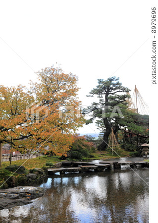 秋Kenrokuen(飛橋) 秋Kenrokuen(飛橋) 8979696