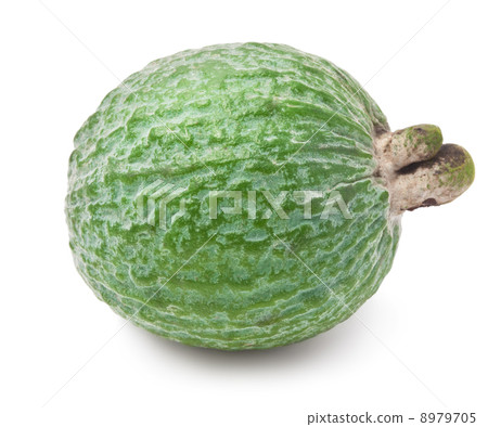 Feijoa fruit 8979705