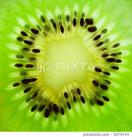 Kiwi 8979744