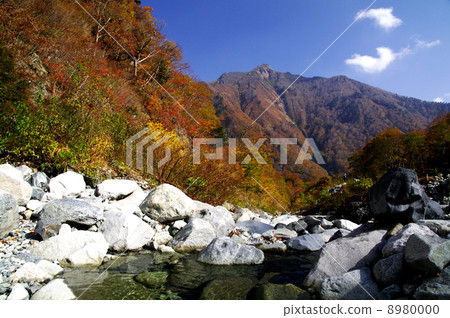 一個Kurasawa 8980000