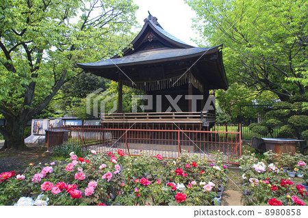 上野東照宮神宮，東京 8980858