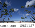 Sandy beach of Tropical country 8981187