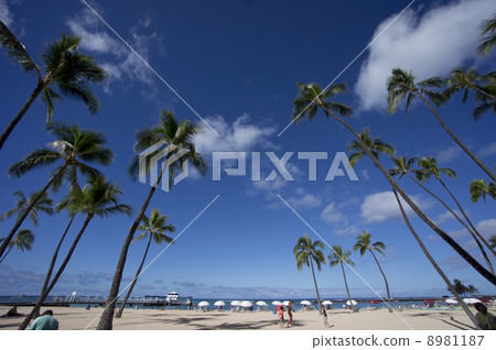 Sandy beach of Tropical country 8981187