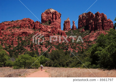 Trail in Sedona, Arizona 8981797