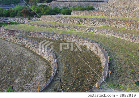 石垣相當深深的領域 8982919