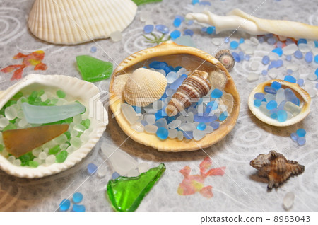 Summer image Seashells and Seagrass 8983043
