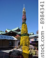 Kameido Tenjin Shrine Chrysanthemum exhibition 8984341