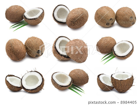Coconuts Coconuts 8984405