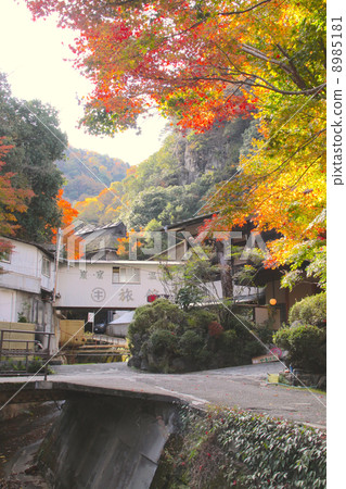 Autumn leaves of Takeda Onsen (upstream of Muko river) "New Nishinomiya sightseeing 100 selections" 8985181