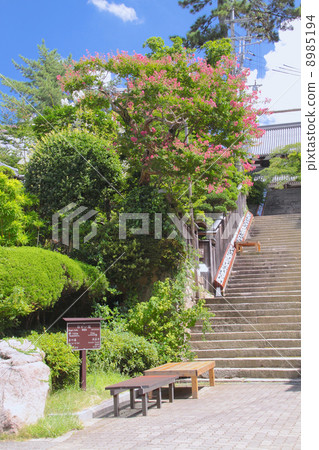 有馬溫泉地區的“Nega zaka”（溫泉寺方法） 8985194